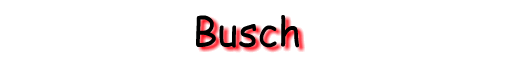 Busch